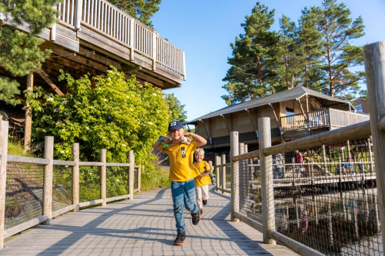 Overnatting Dyreparken Safaricamp. Barn leker på brygga foran teltene.
